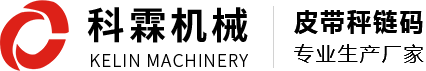 皮带秤链码厂家