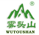 雾头山茶园