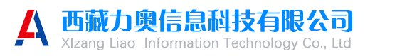 西藏力奥信息科技有限公司