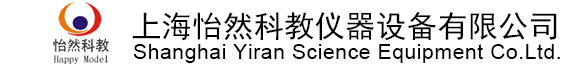 心肺复苏模型