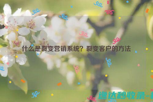 什么是裂变营销系统？裂变客户的方法_站长新闻