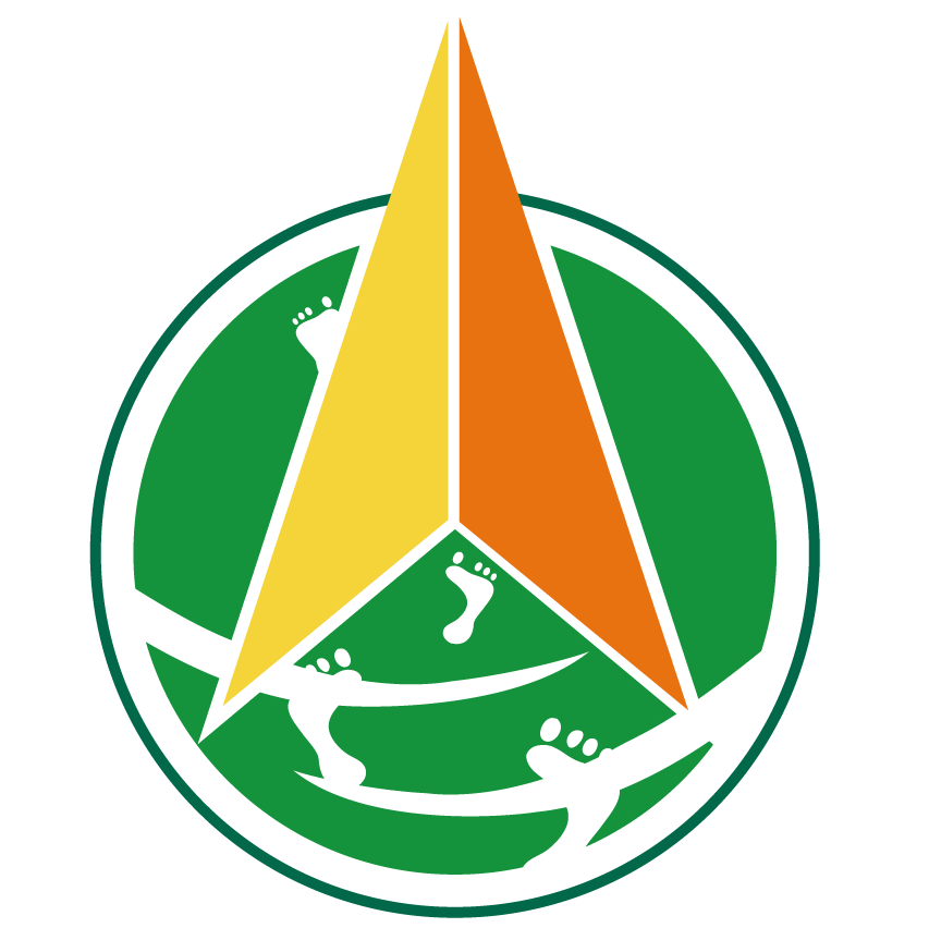 首页