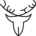 叶禾美学创意