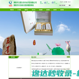 天目湖白茶