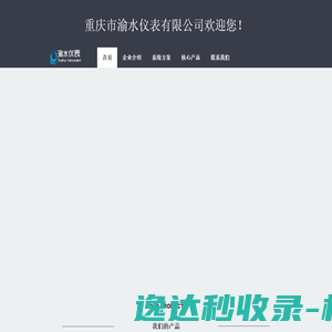 重庆市渝水仪表有限公司