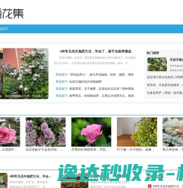 百花集