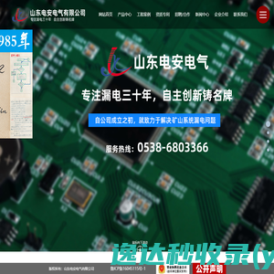 山东电安电气有限公司