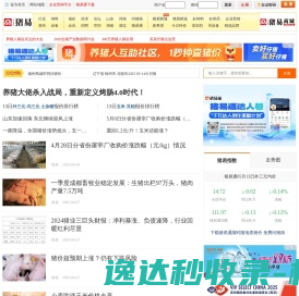 猪易网